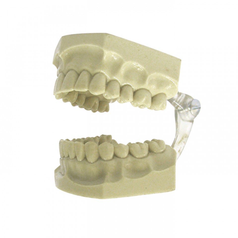 quest-ce que-l'orthodontie