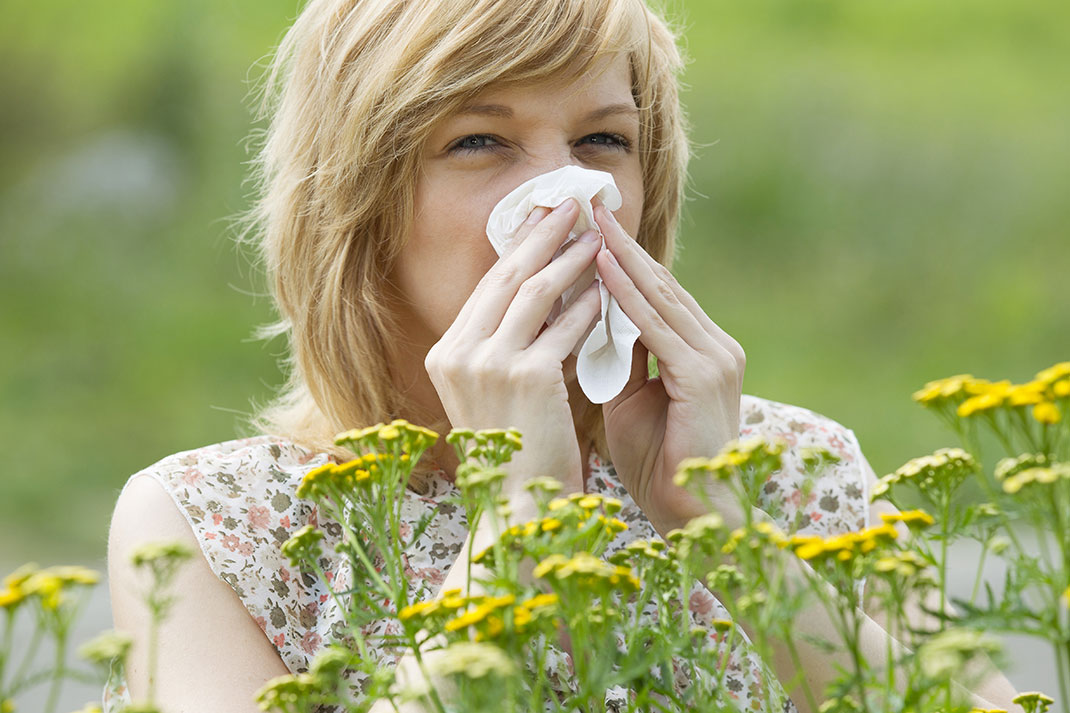 pollen-allergie